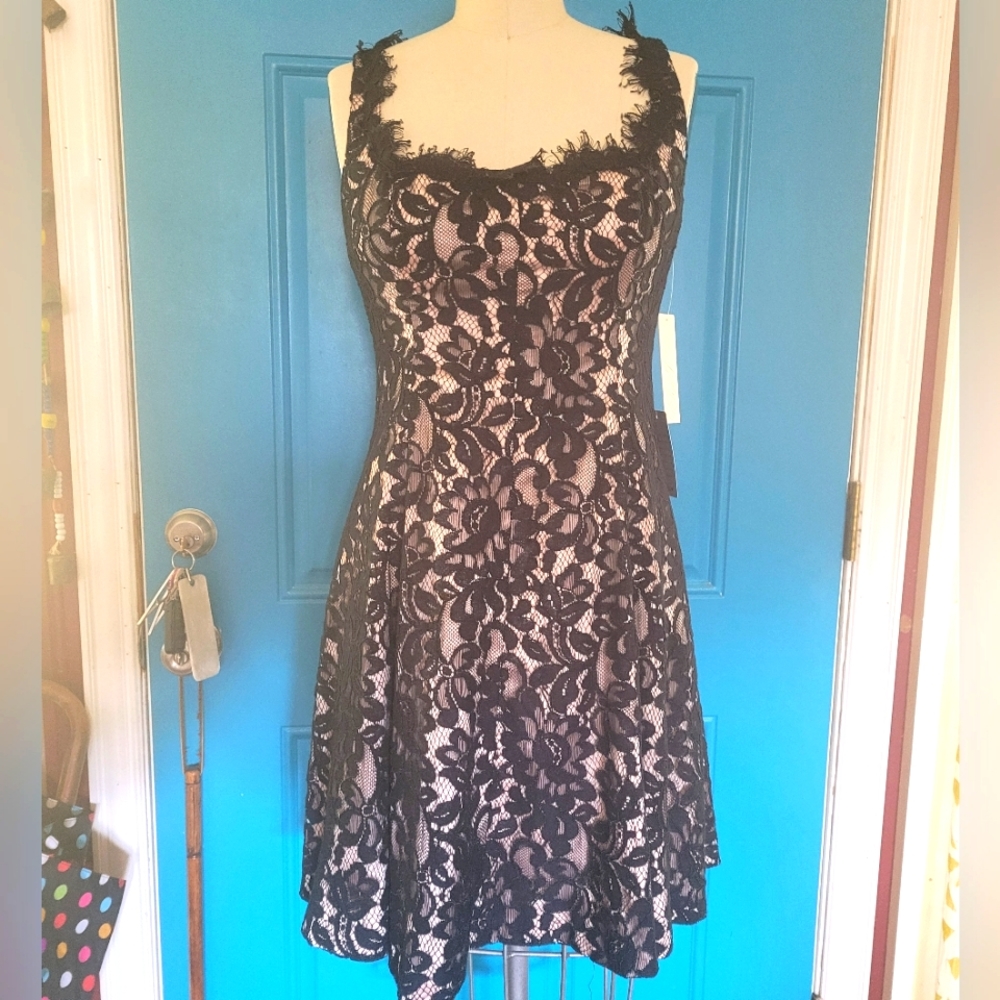 Lace Sleeveless Dress New with tags
